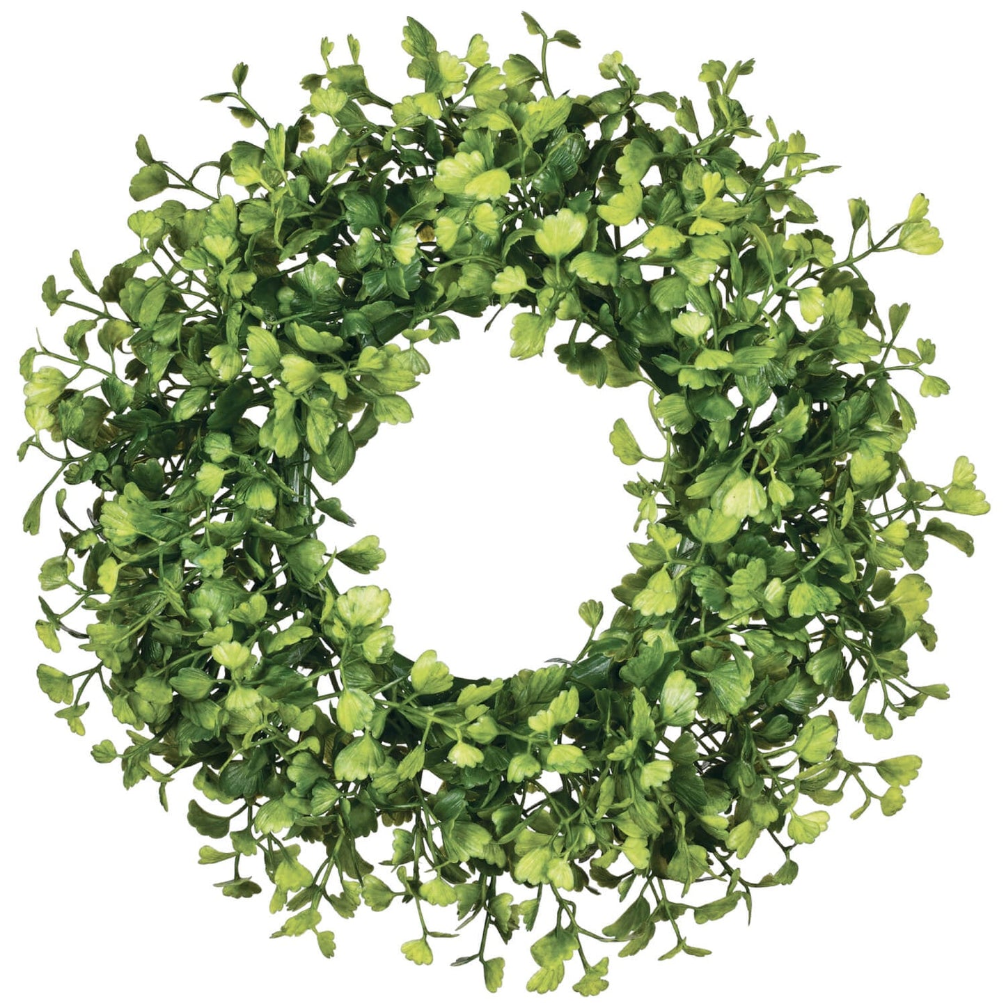 12” Maiden Hair Fern Wreath
