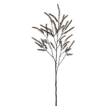 Bud Spray Brown