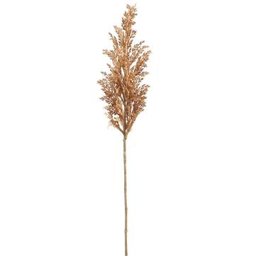 Pampas Grass Spray