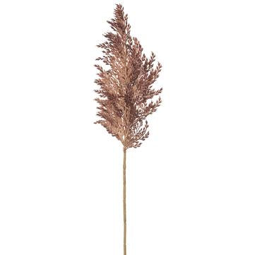 Pampas Grass Spray