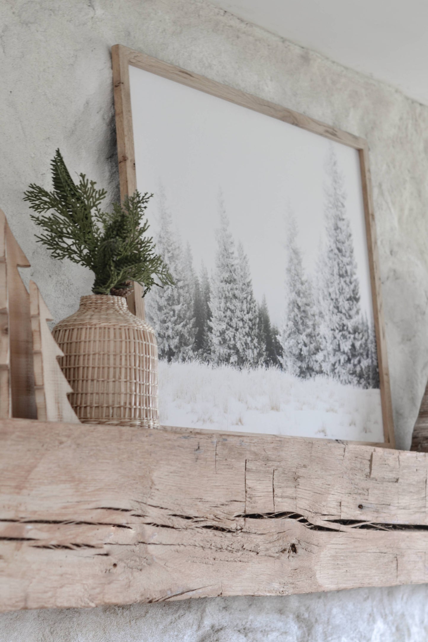 Winter Trees Framed Art | Made in the USA : Driftwood / 16x20