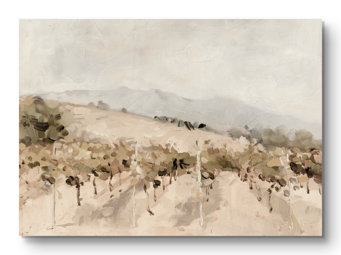 Vineyard - print: Print (unframed) / 5x7