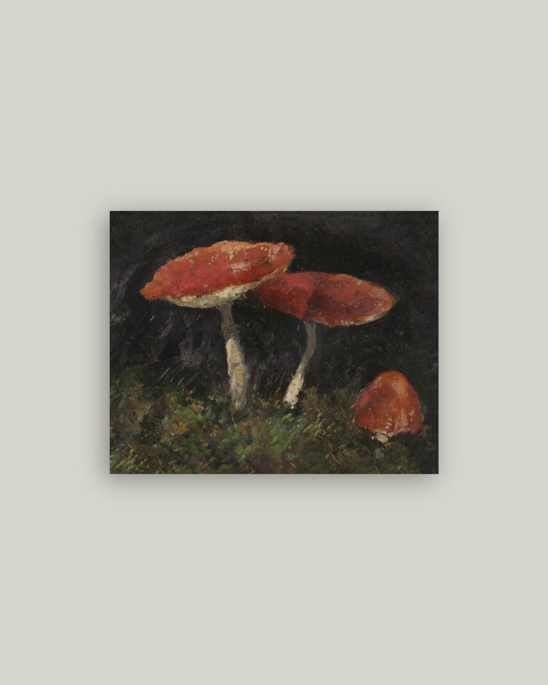 Vintage Mushrooms Antique Artist Board 14x11