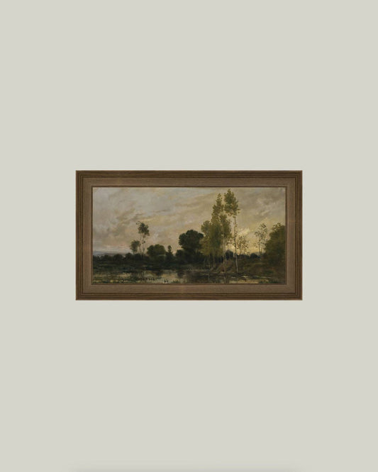 Alders: 20x11