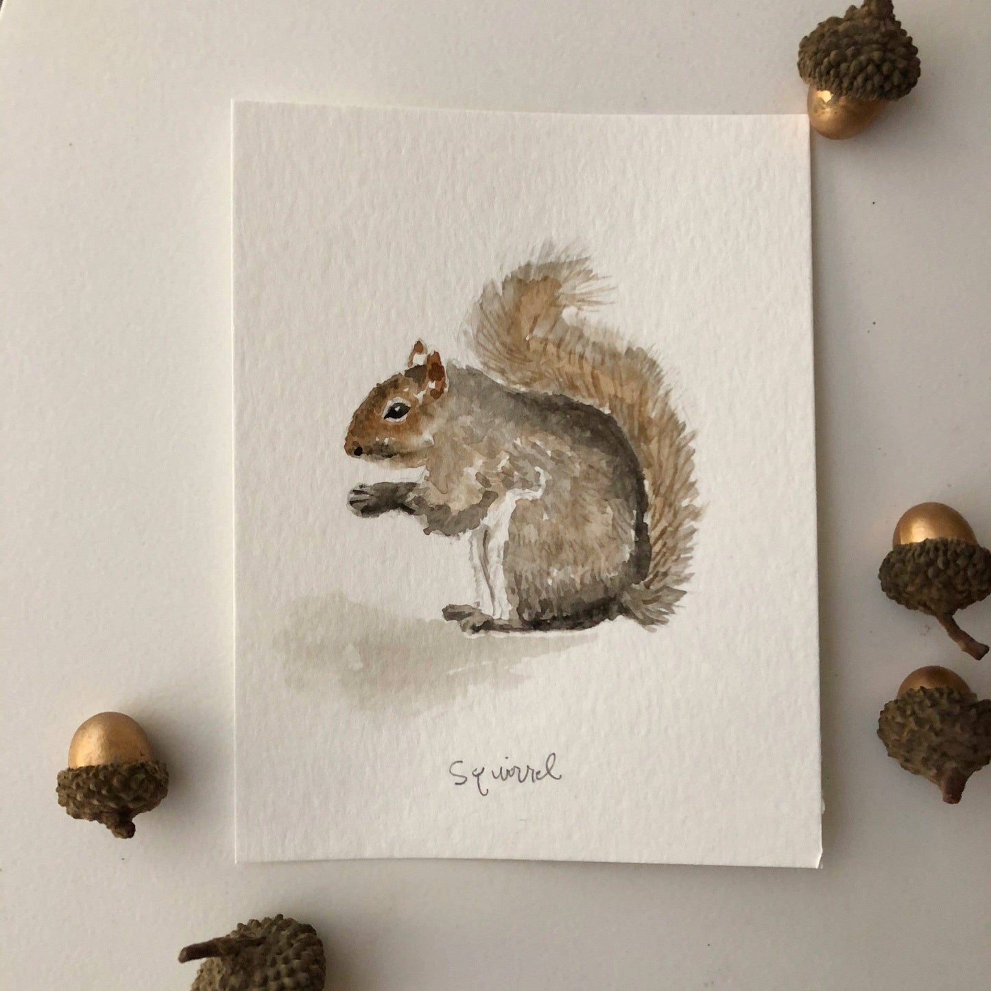 Squirrel art print: 8x10