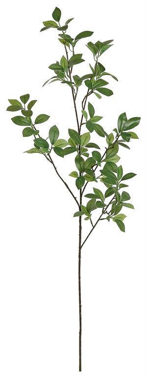 Mini Ficus Leaf Branch, 38", Green