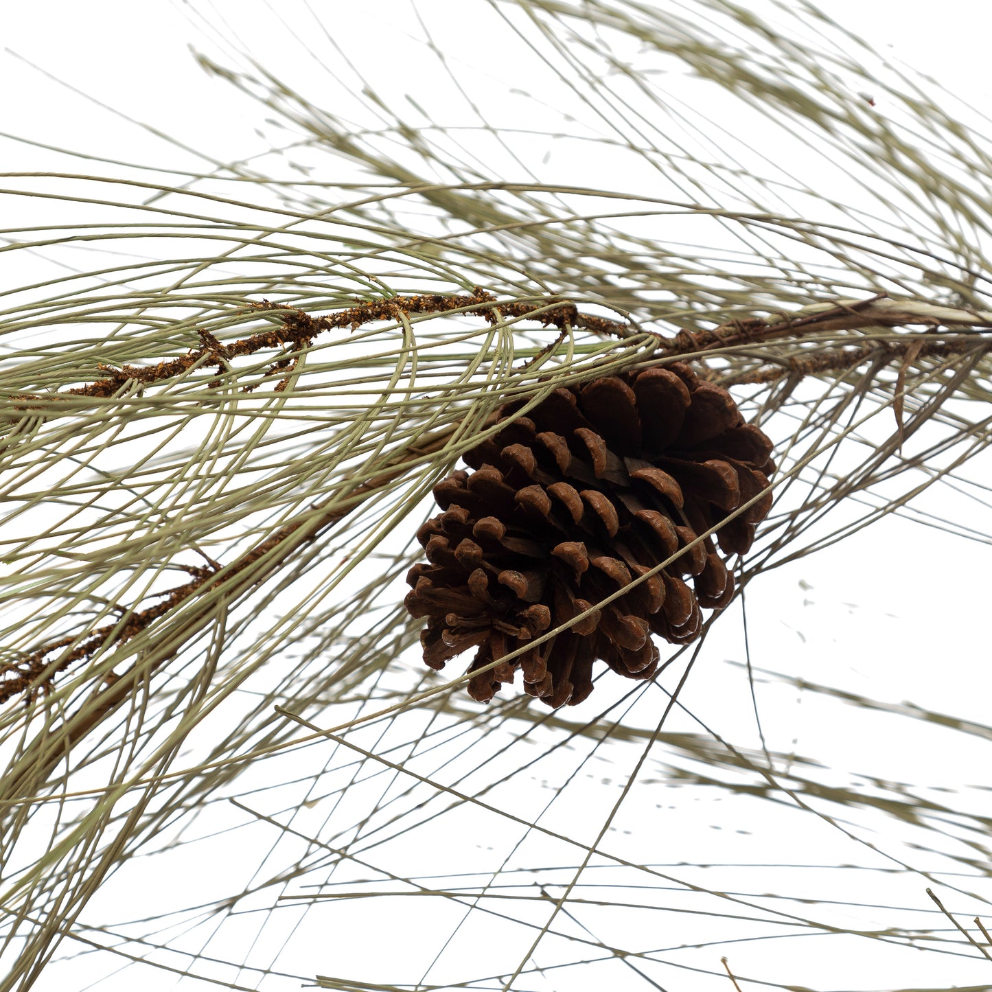 Long Needle Pine Garland with Pinecones