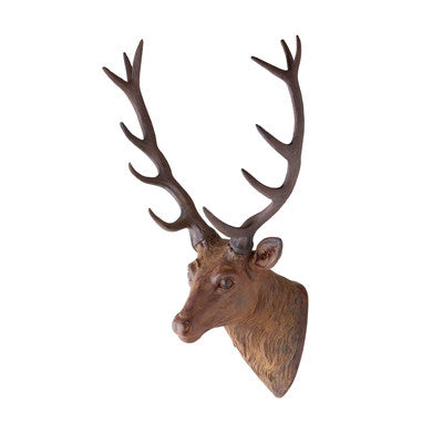 Mounted Deer Head
