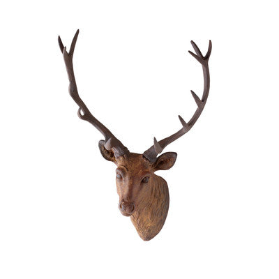 Mounted Deer Head