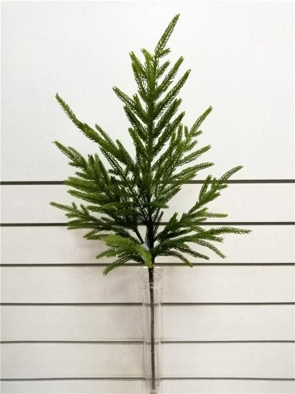 NORFOLK PINE SPRAY
