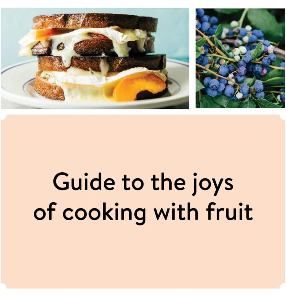 Pulp -A practical guide to cooking with fruit