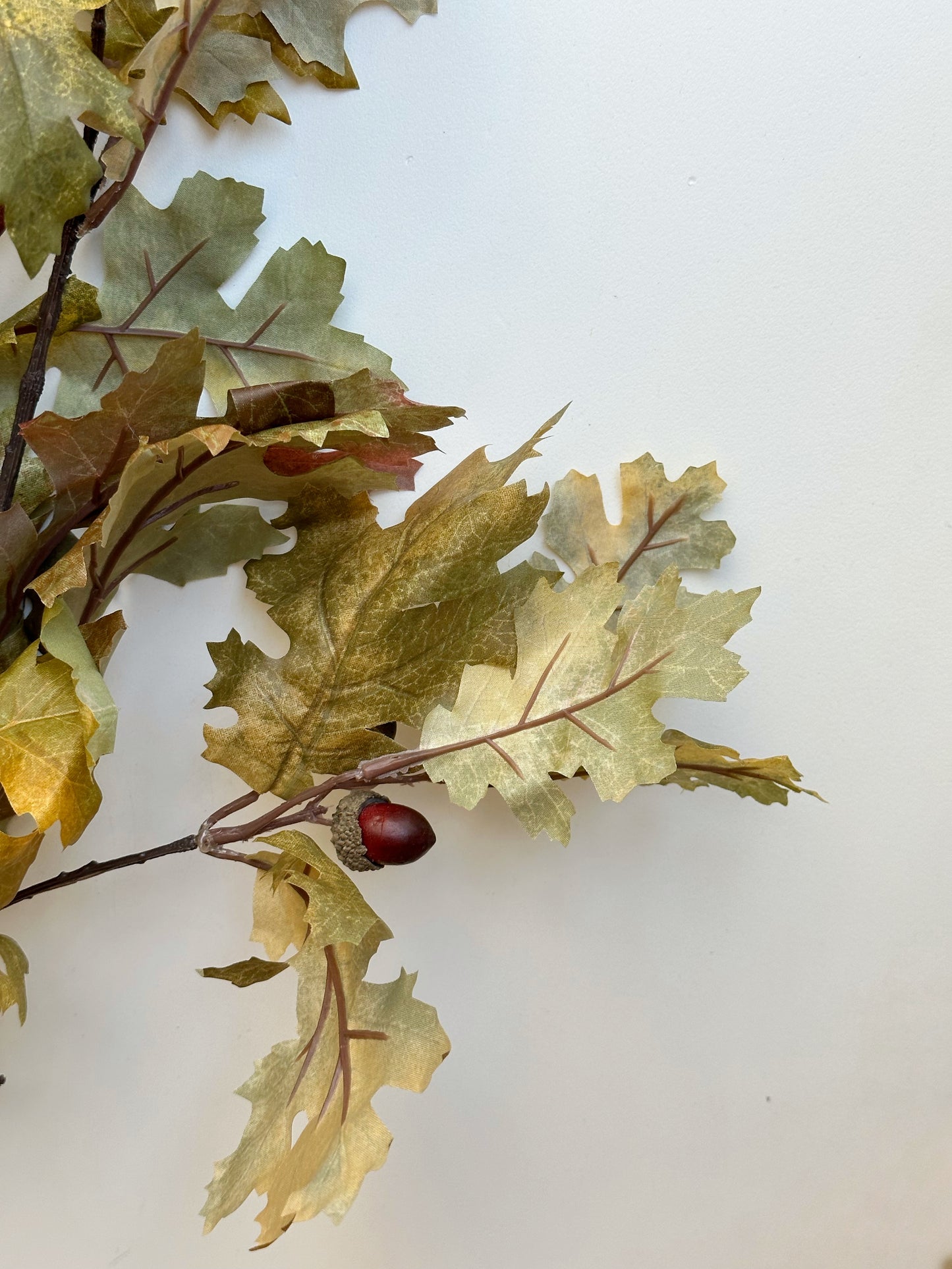 Valley Oak Stem