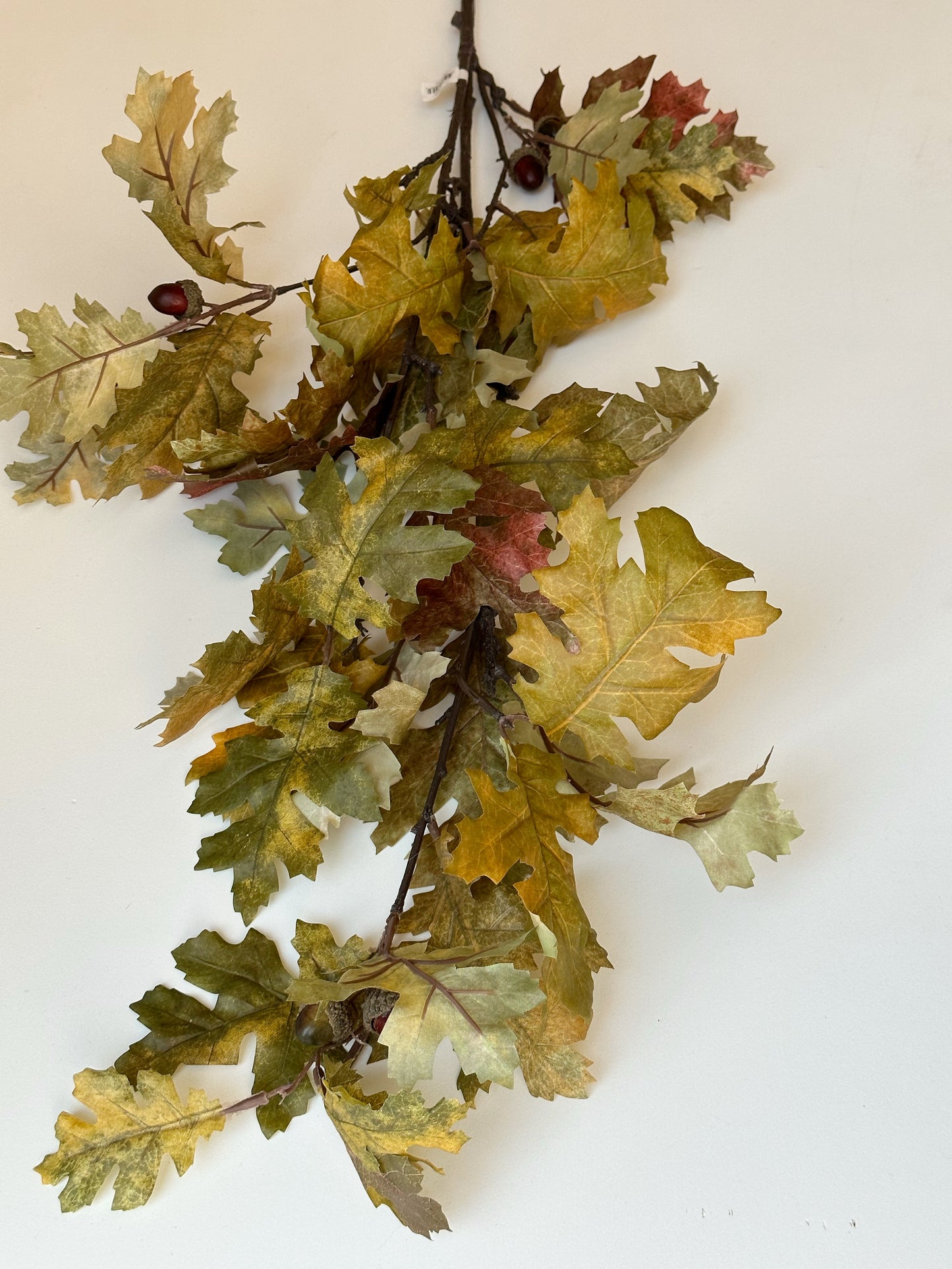 Valley Oak Stem