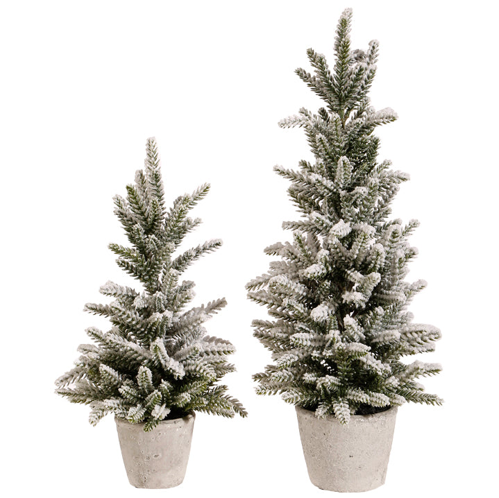 Snowy Pine Tree in Pot