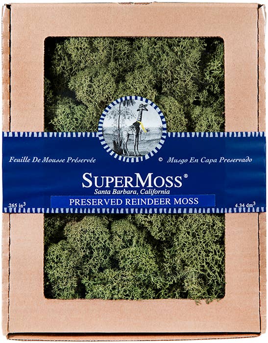 Reindeer Moss Basil 4oz