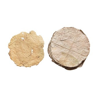 Real Leaf Placemat Set of 48