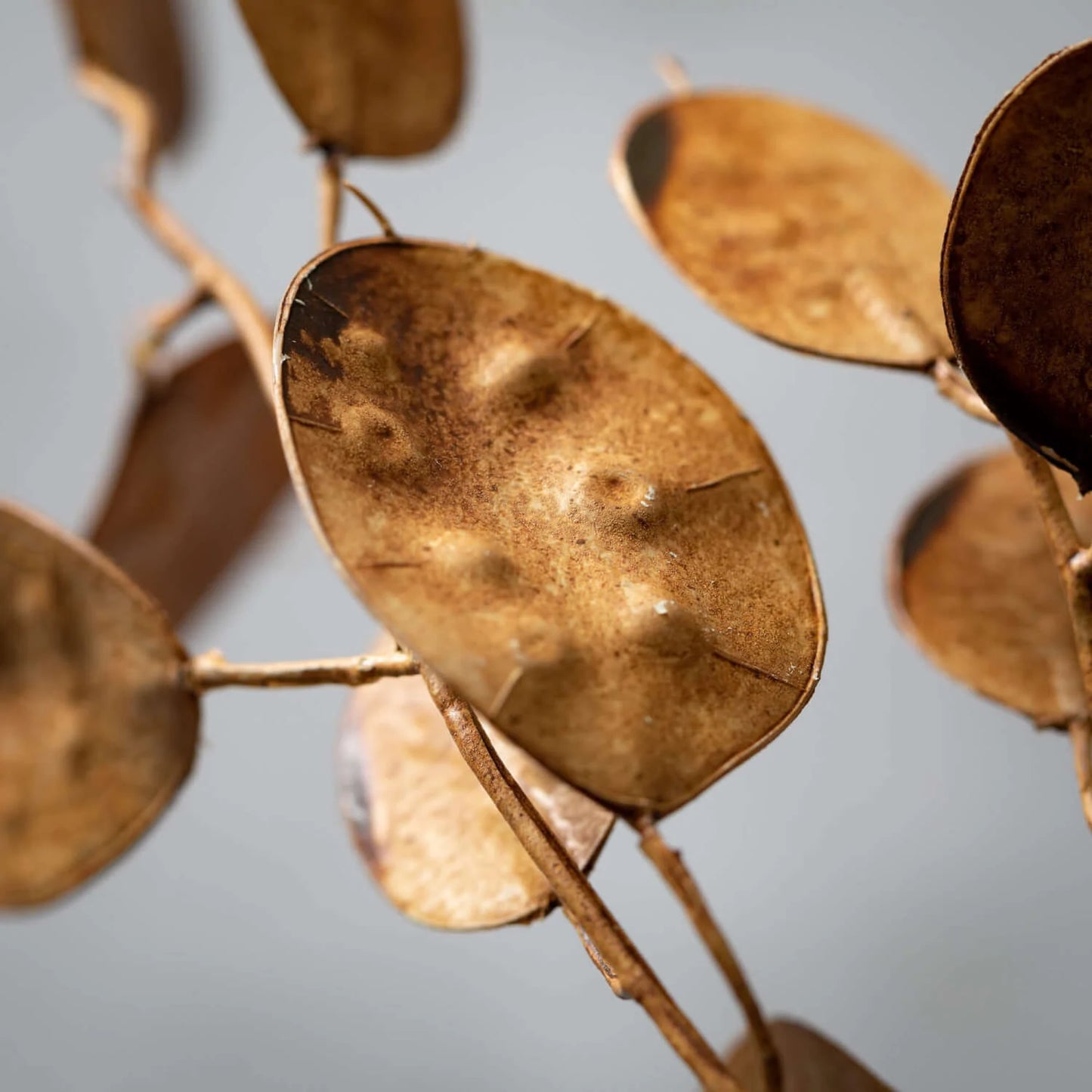 Faux Brown Lunaria Silver Dollar Stem