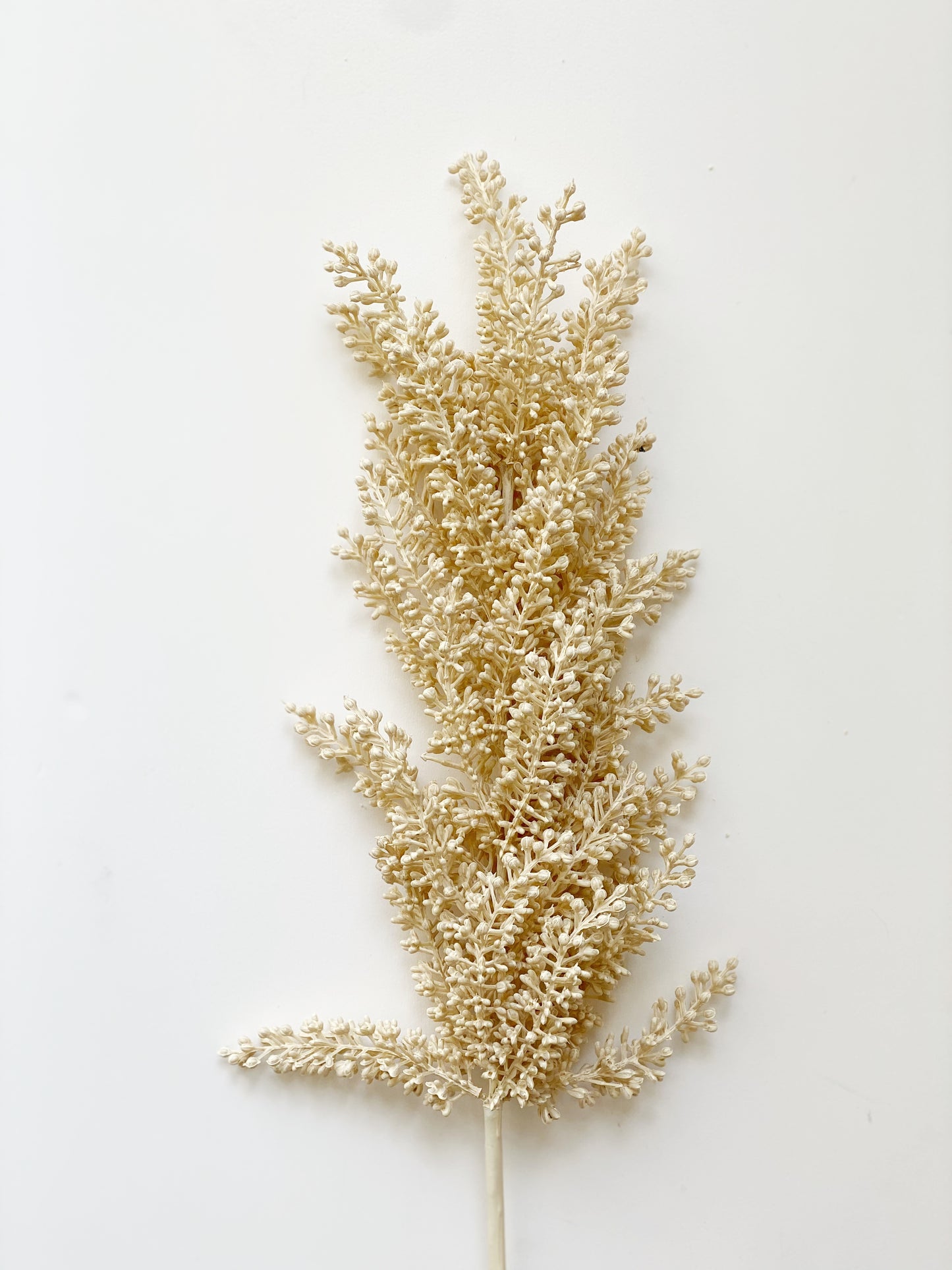 Astilbe Spray Stem