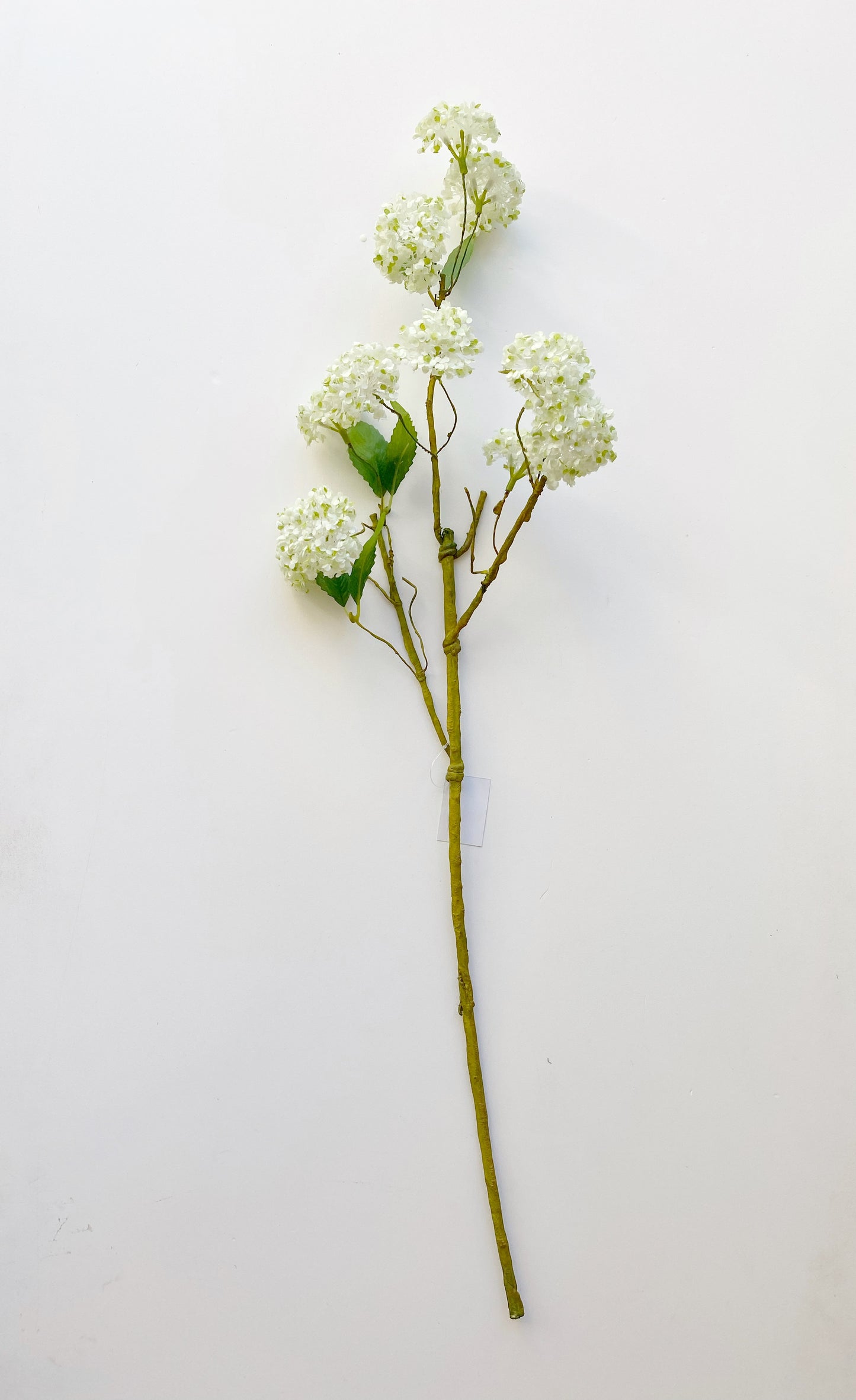 Snowball Spray Long -White