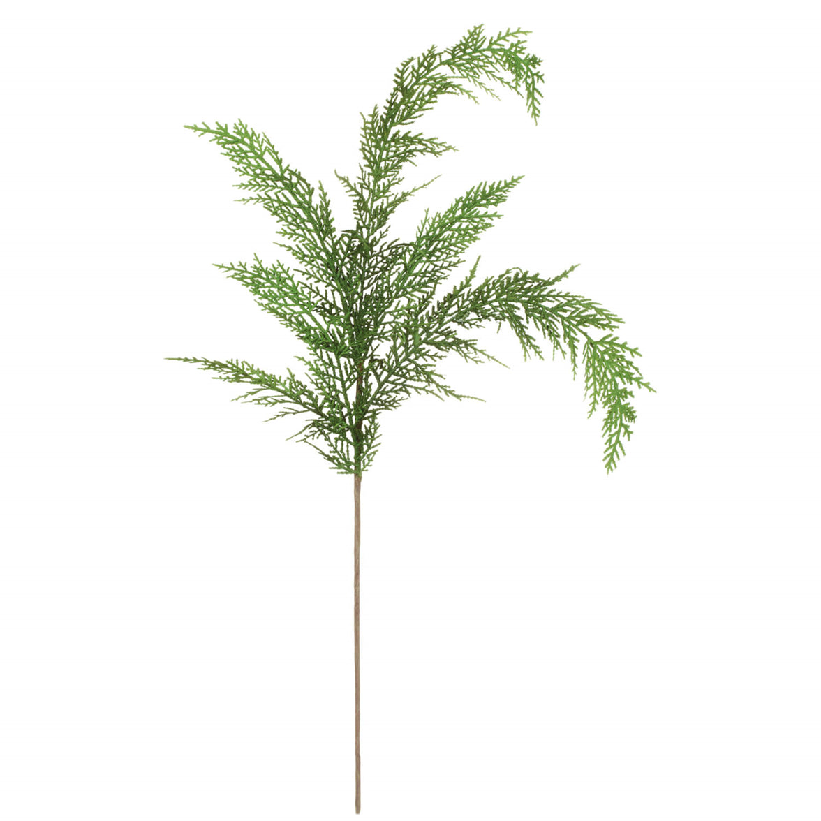 Cypress Spray Stem