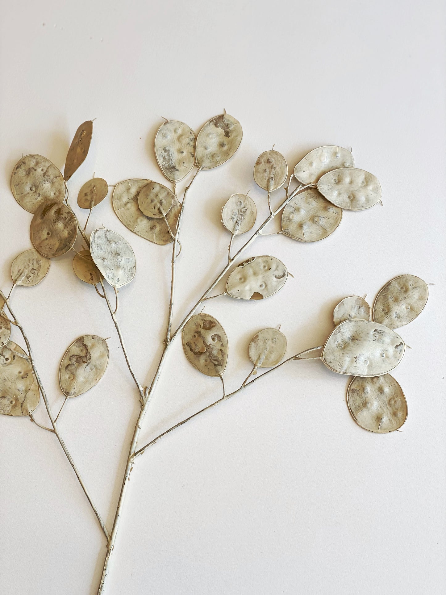 Faux Lunaria Silver Dollar Stem