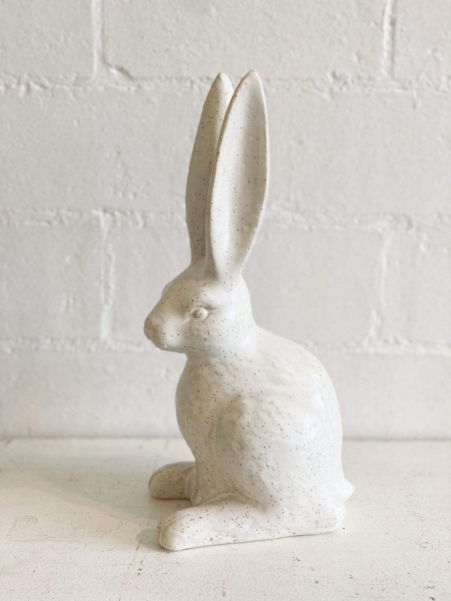 Sitting Hare Bunny Rabbit
