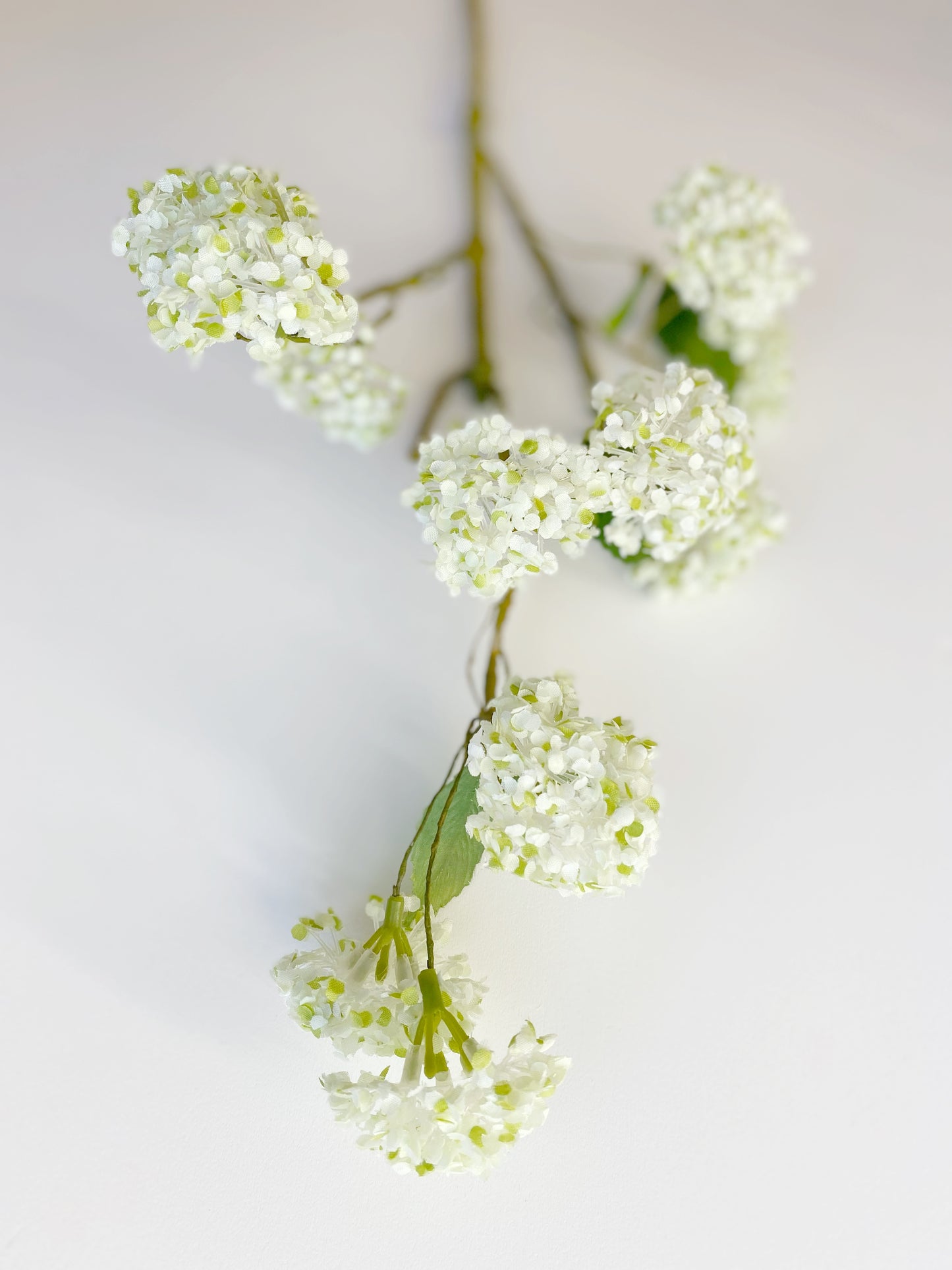 Snowball Spray Long -White