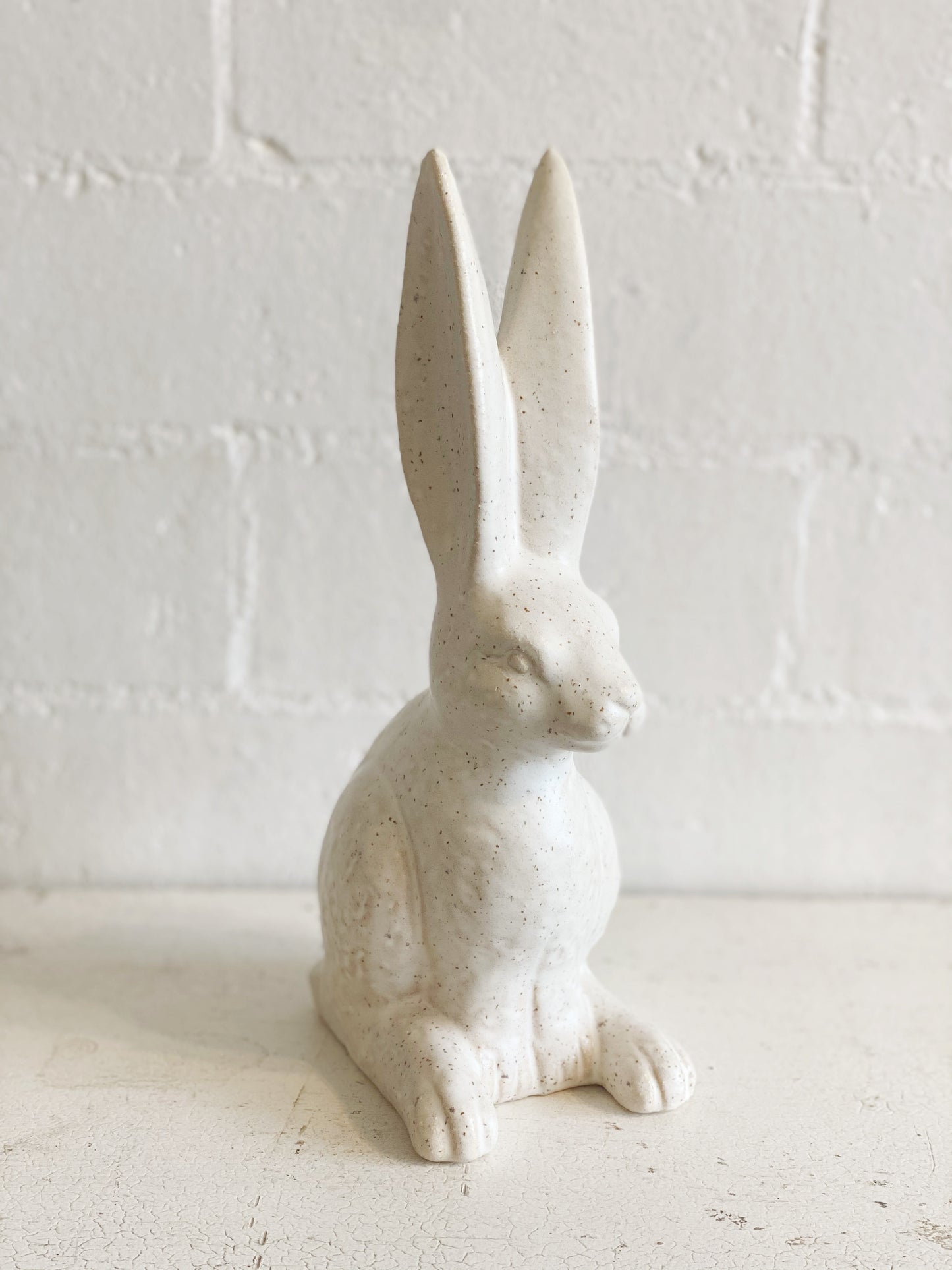 Sitting Hare Bunny Rabbit