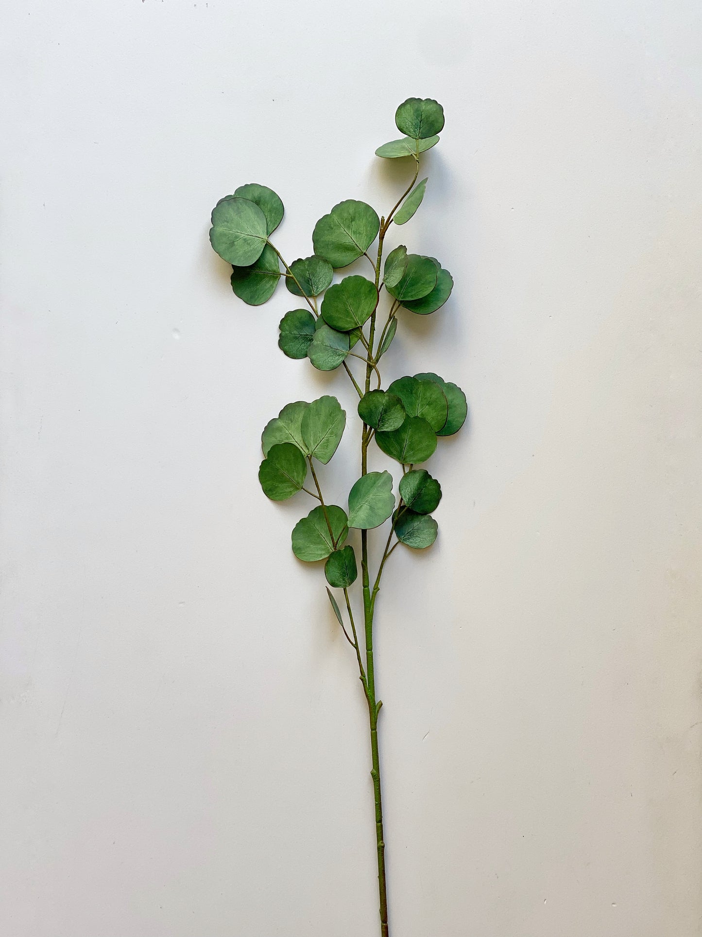 Faux Realistic Eucalyptus Stem