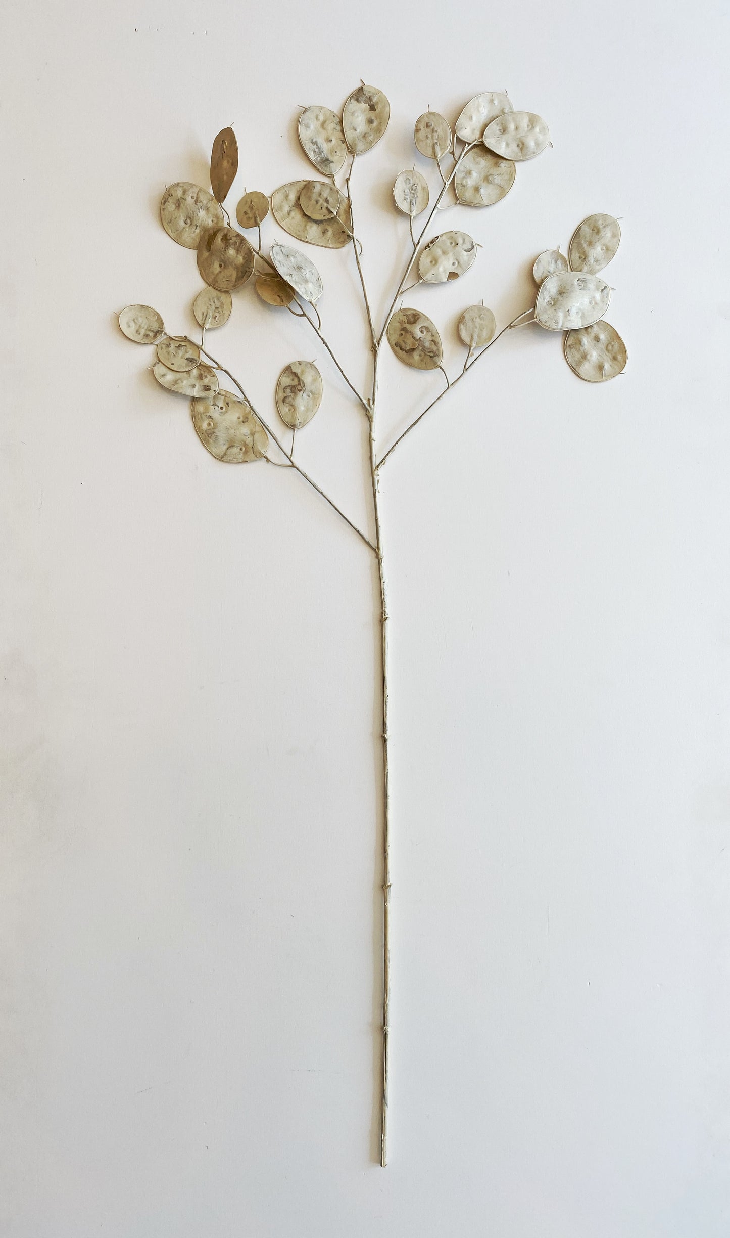 Faux Lunaria Silver Dollar Stem
