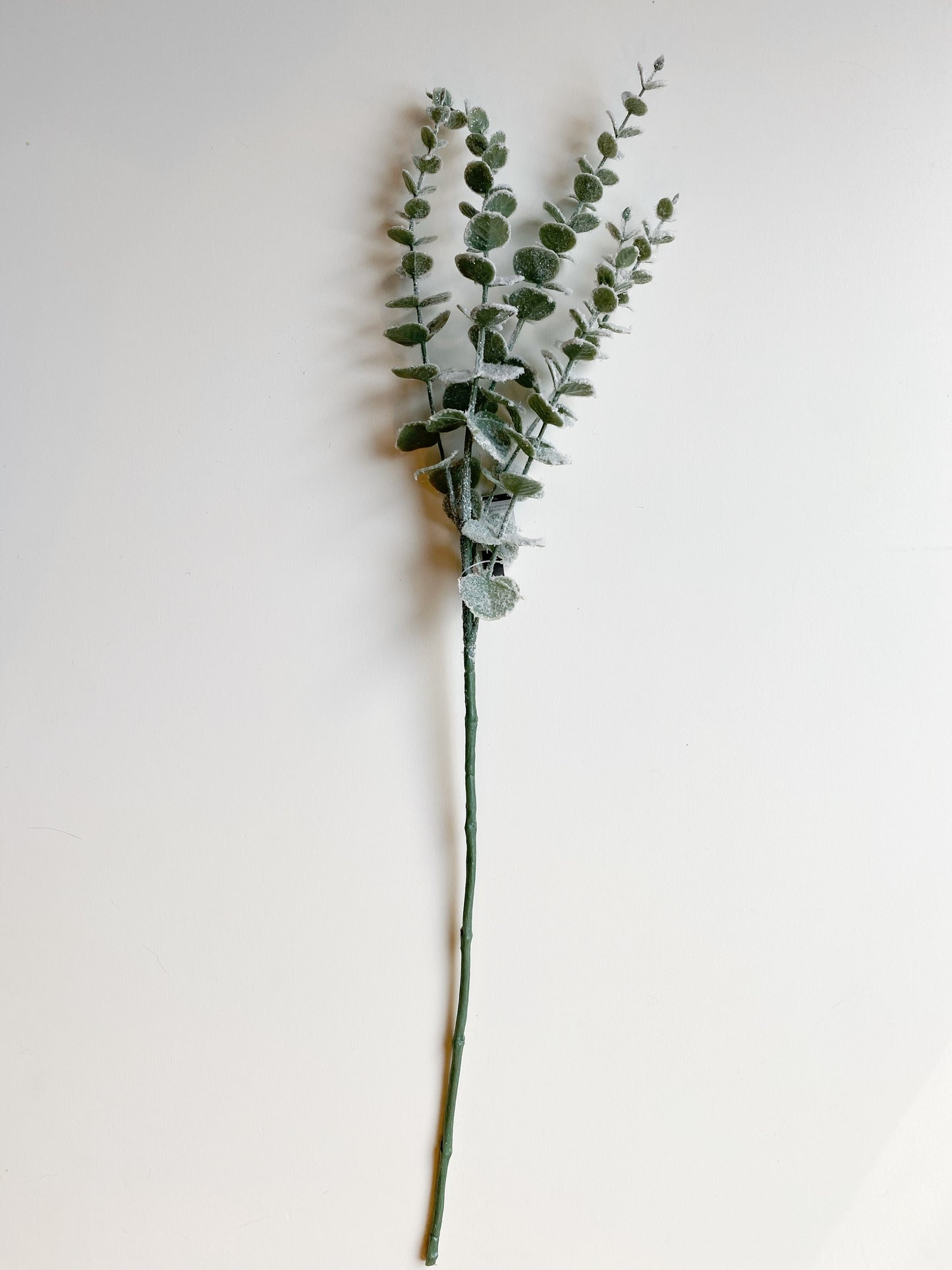 Eucalyptus w/snow spray