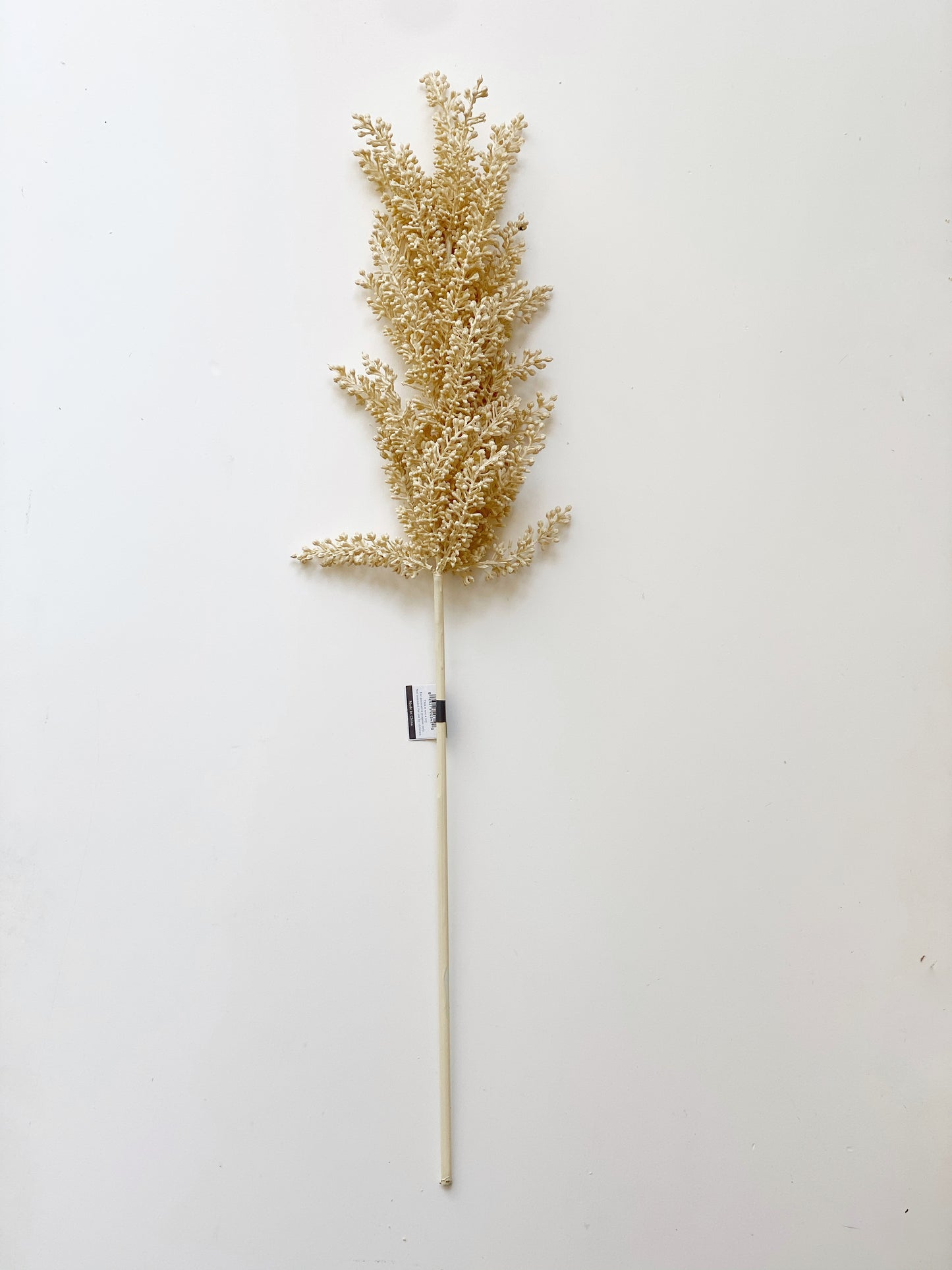 Astilbe Spray Stem