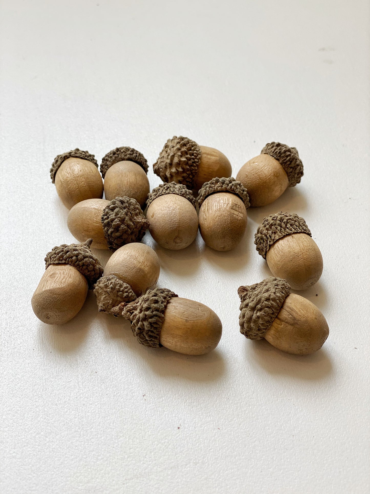 Bag of Realistic Acorns