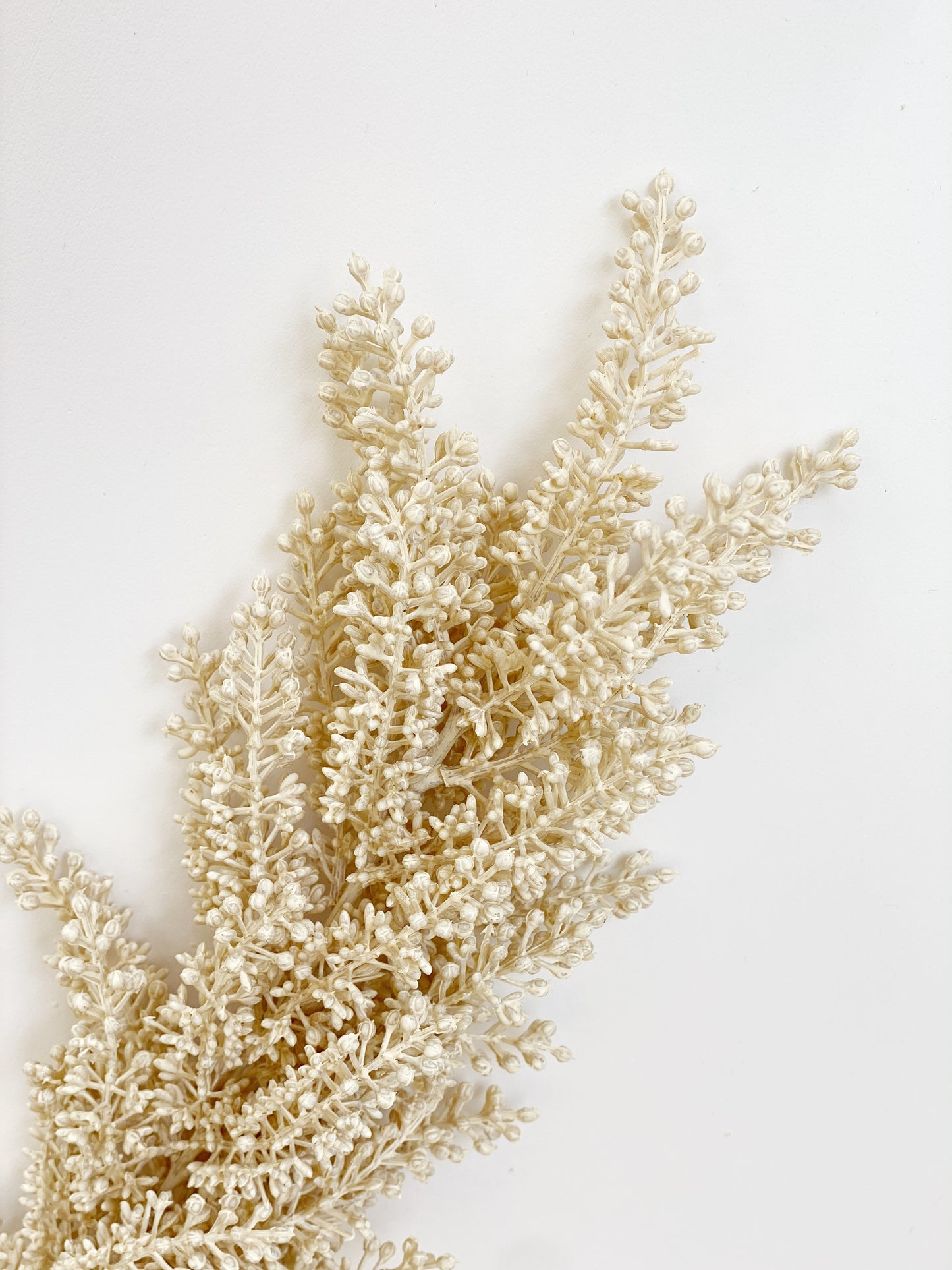 Astilbe Spray Stem