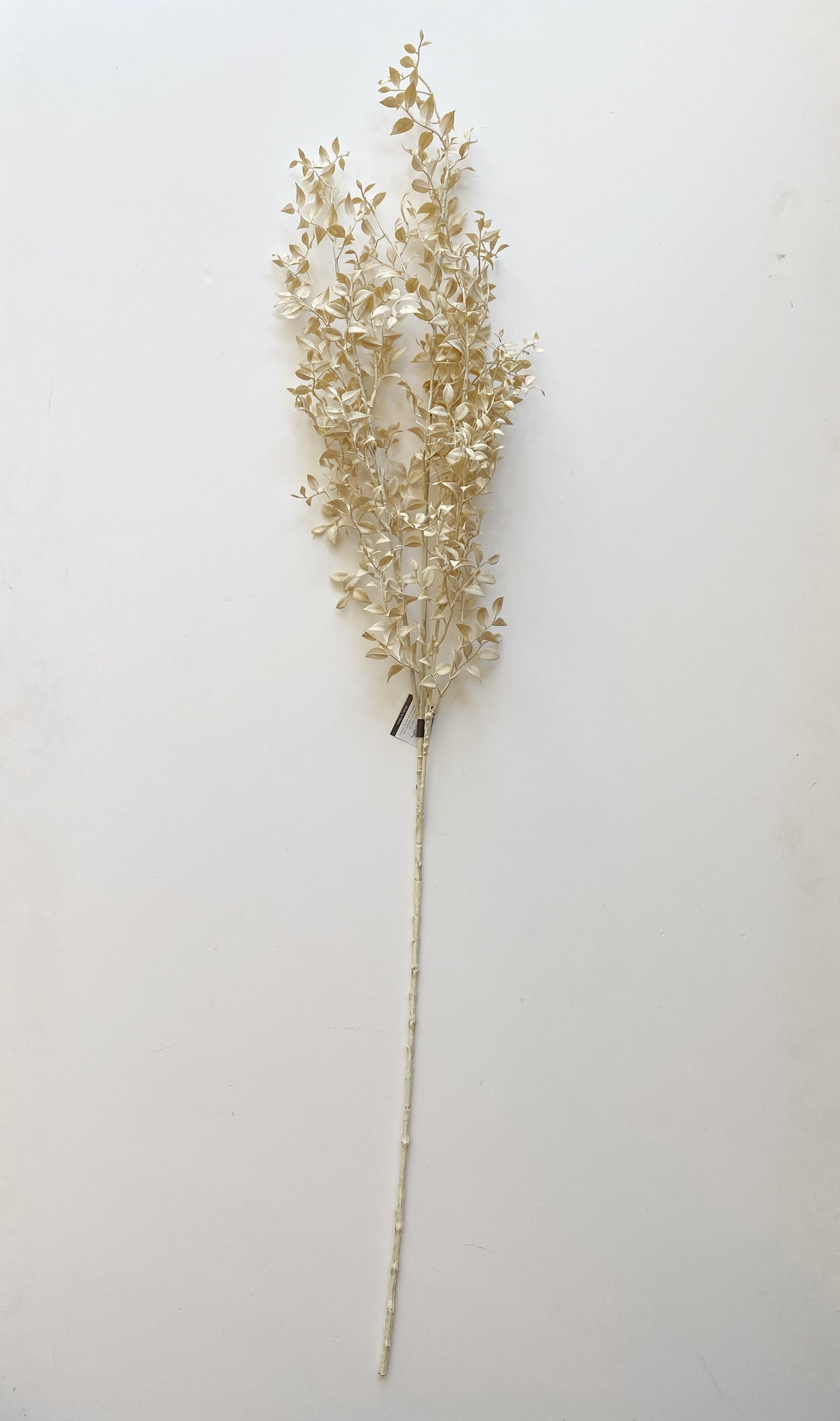 Smilax Spray Stem
