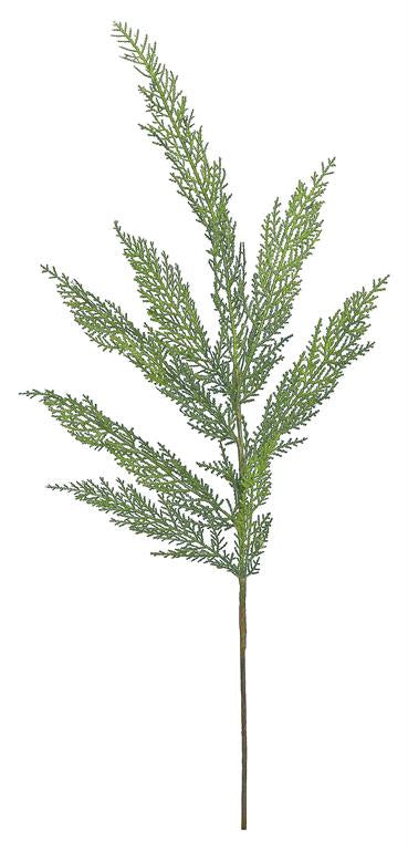 CEDAR SPRAY STEM 44” long