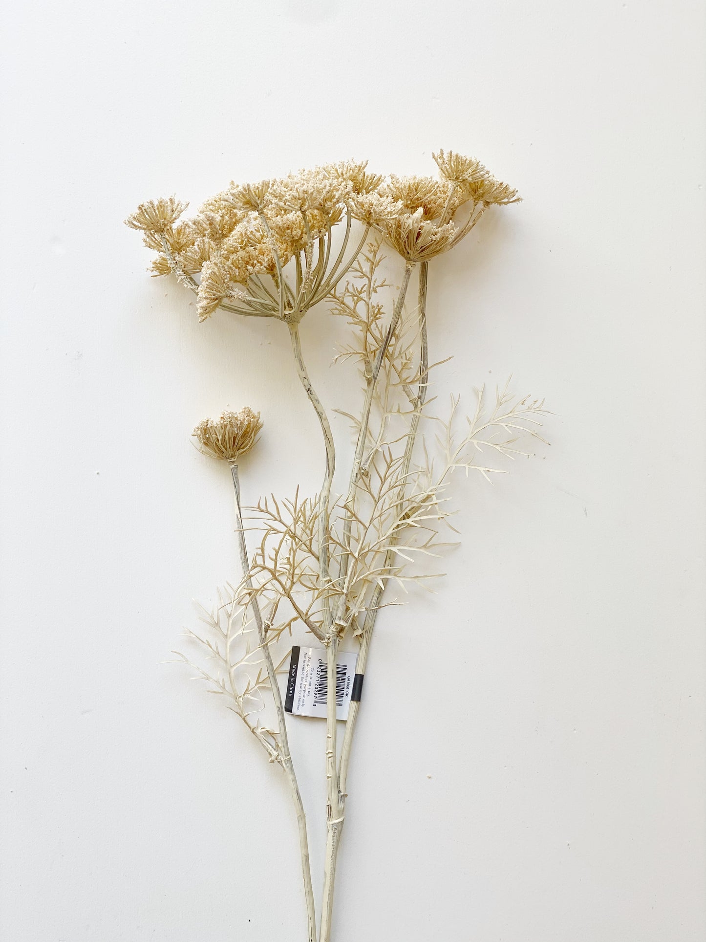 Queen Anne’s Spray Stem