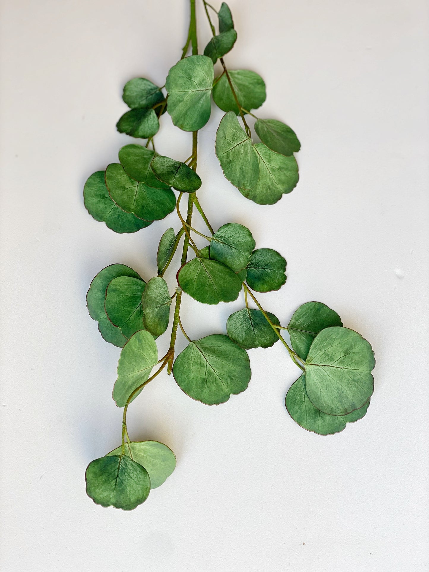 Faux Realistic Eucalyptus Stem