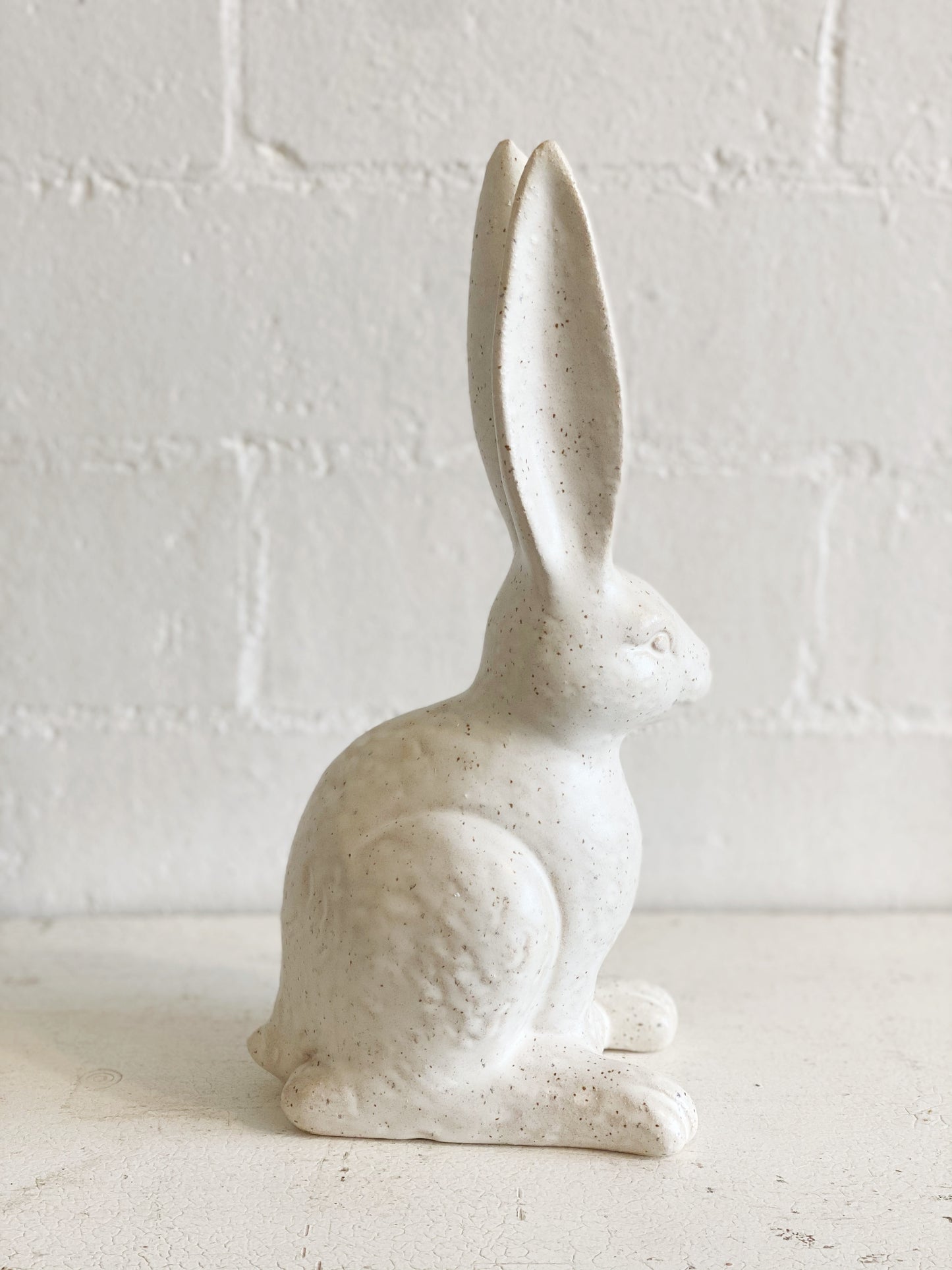 Sitting Hare Bunny Rabbit