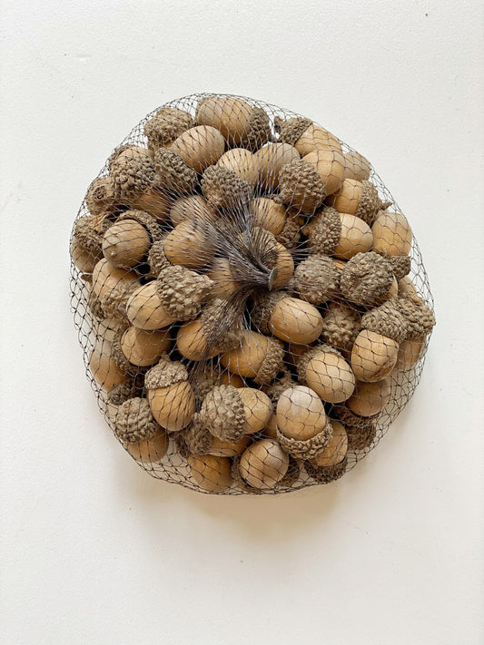 Bag of Realistic Acorns