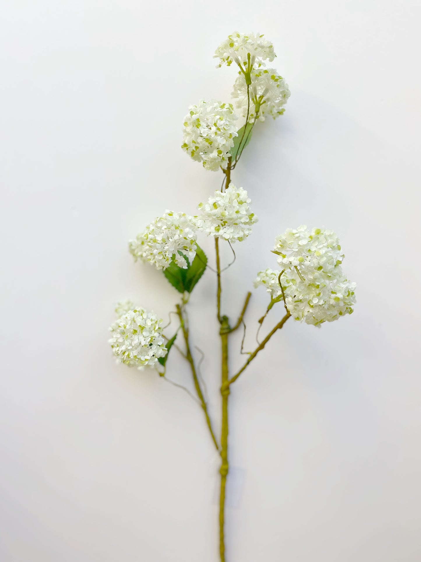 Snowball Spray Long -White