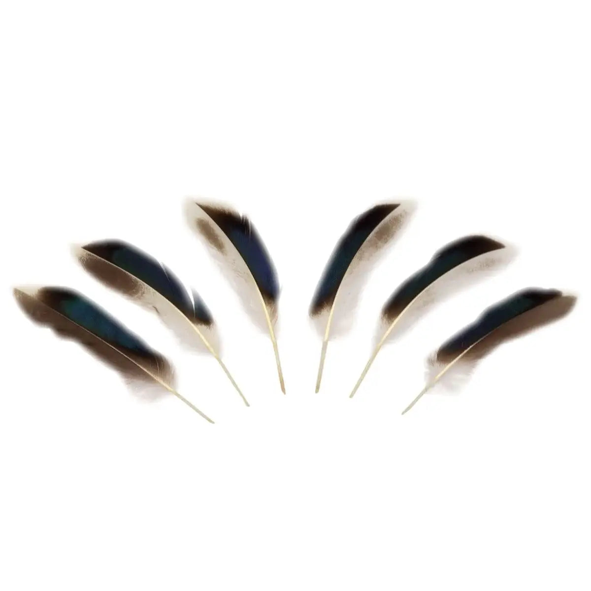 Natural Duck Feathers 3-5"