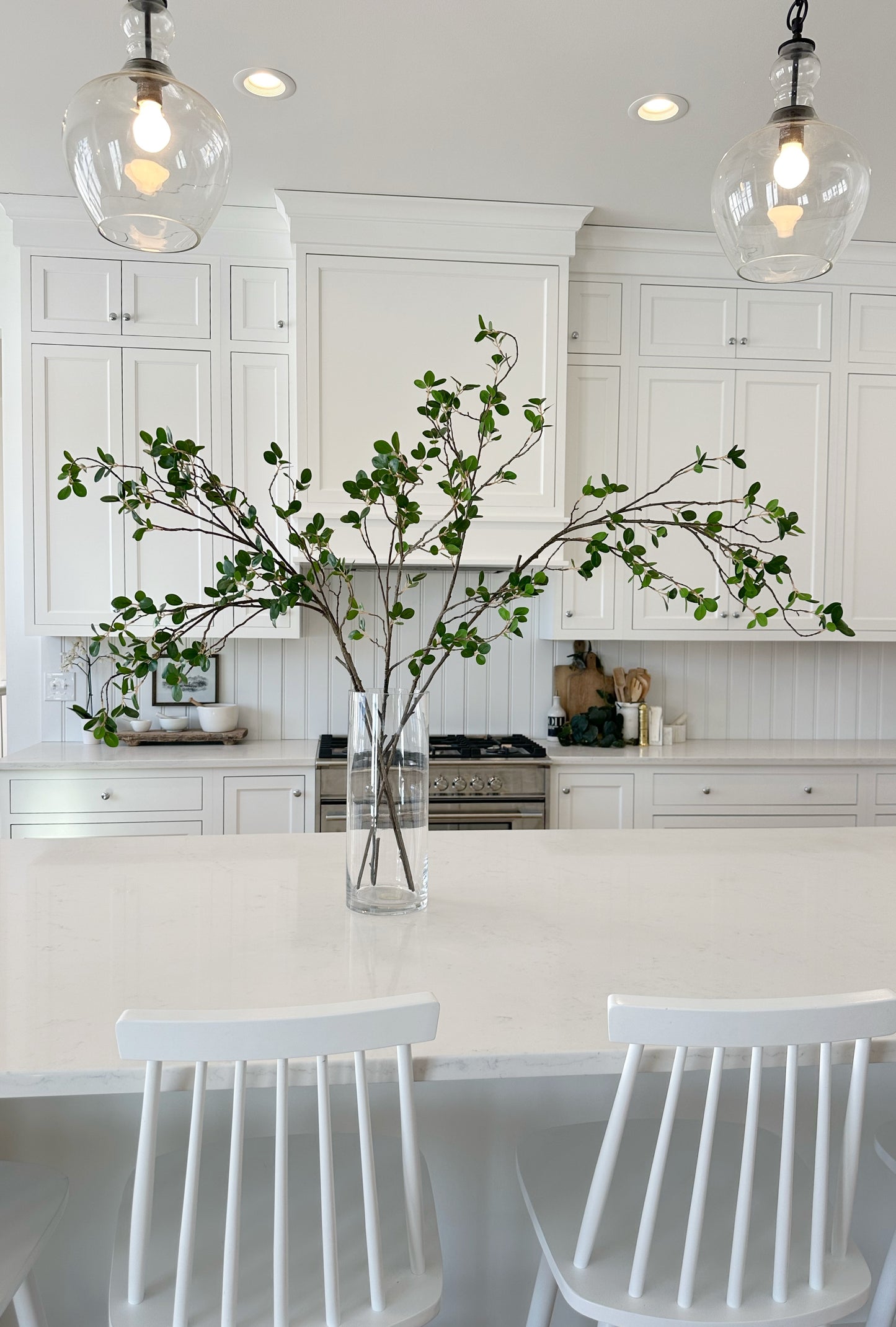 Bonsai Ficus Branch Stem