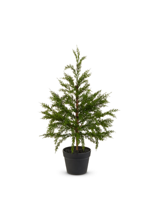 27" Potted Cedar Tree