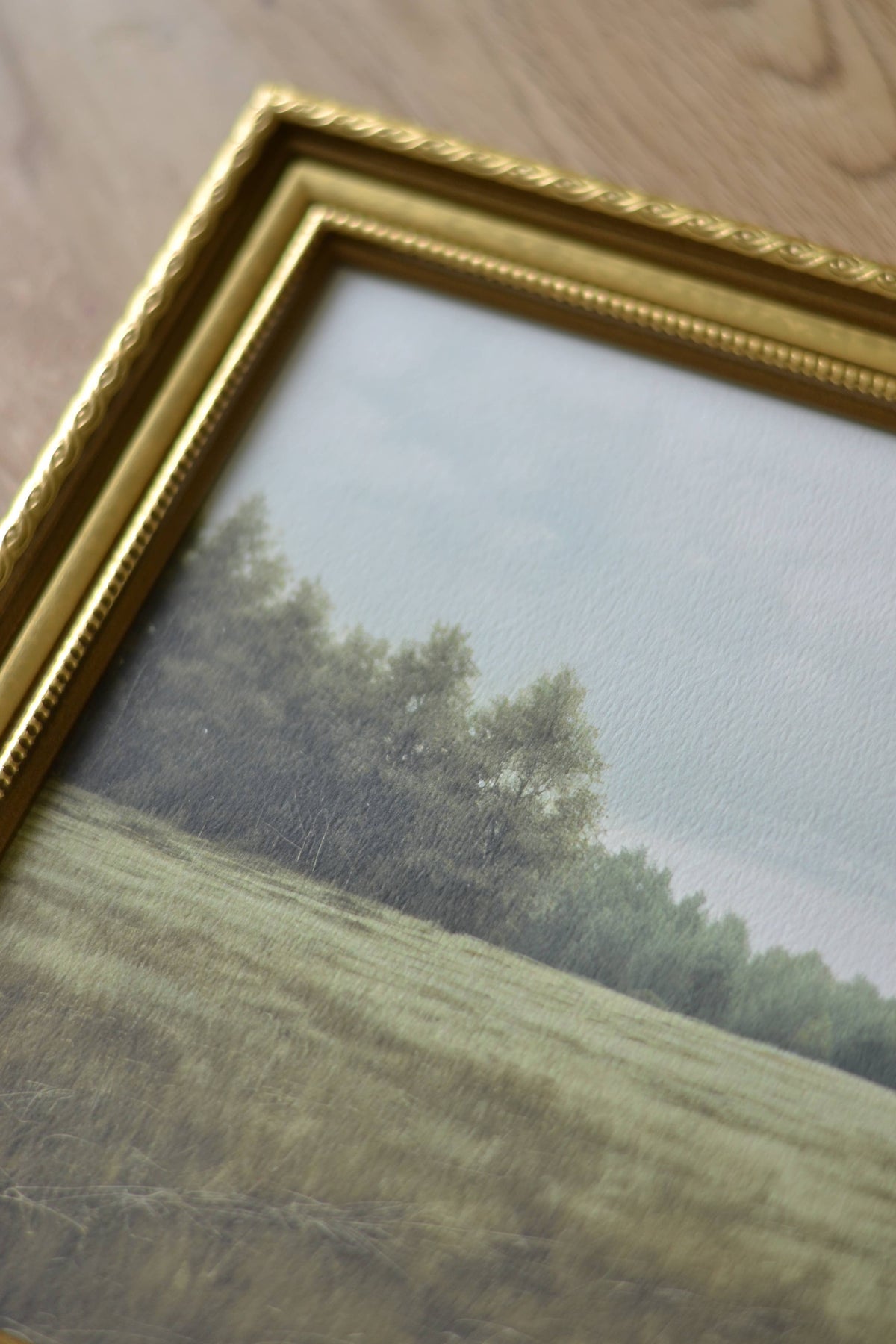 Every Green Frame Evergreen Meadow: Gold Frame / 5x7 – Vintage Barn Chicks