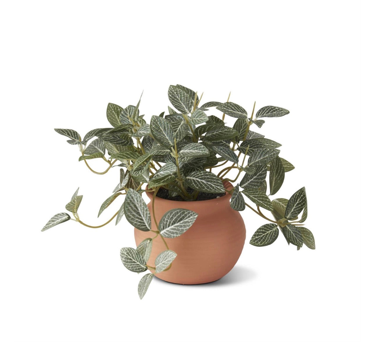 CERAMIC POTTED PLANTS (3 STYLES TO CHOOE FROM)