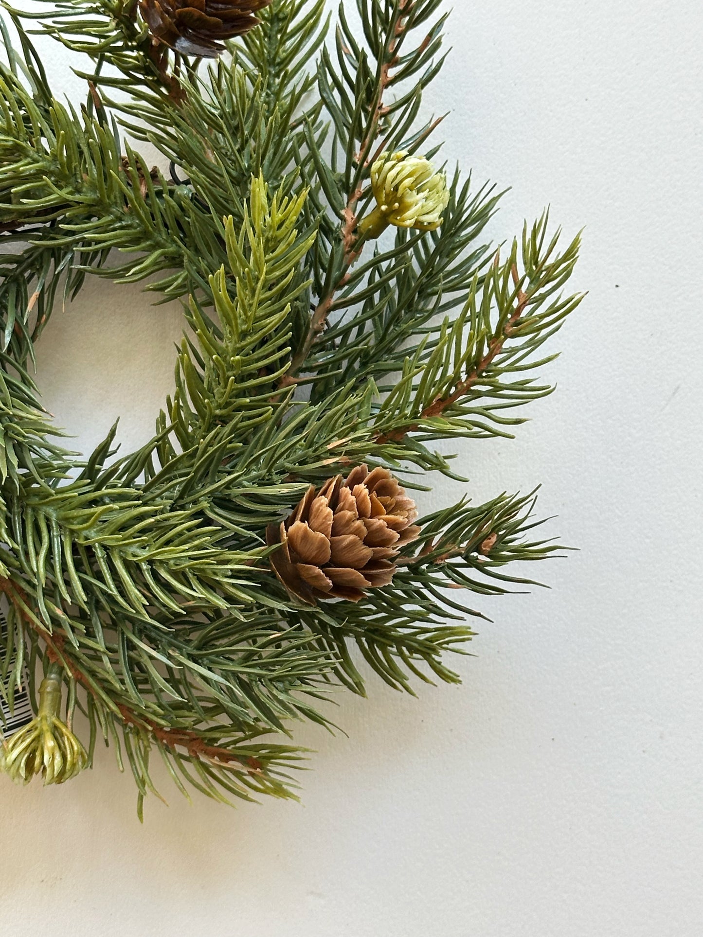 White Spruce Candle Ring/Wreath 7"