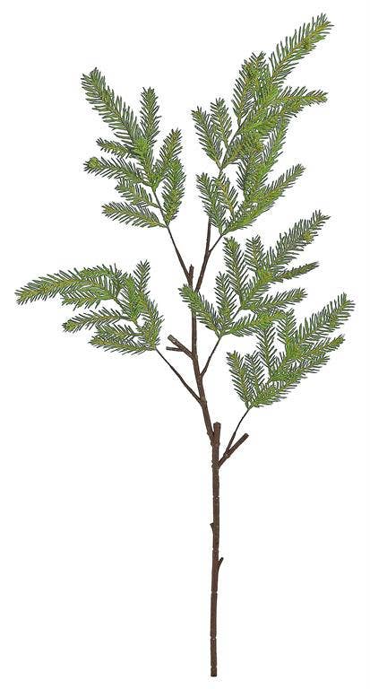 Budding Noble Fir Spray