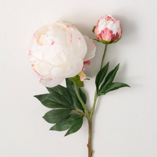 CREAMY PINK PEONY WITH BUD