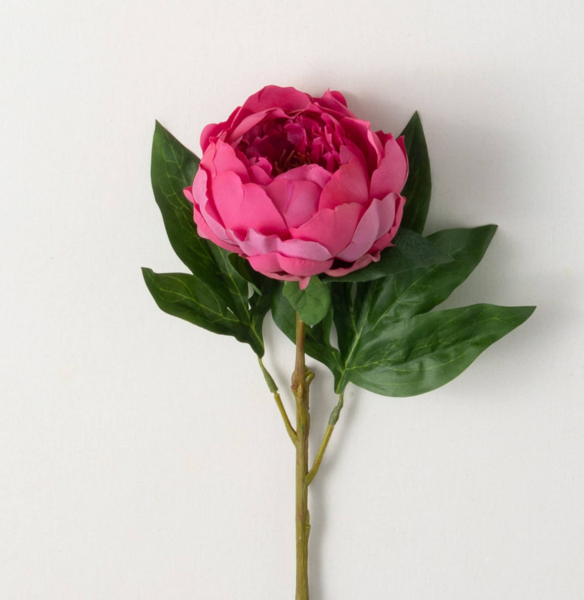 FRESHCUT® DEEP PINK PEONY STEM